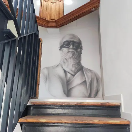 Kamienica Centrum Nr 6